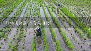 科学实验报告(有关植物)