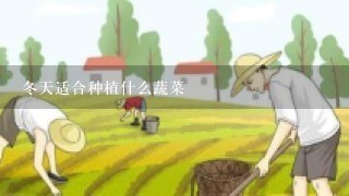 冬天适合种植什么蔬菜