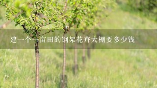 建1个1亩田的钢架花卉大棚要多少钱