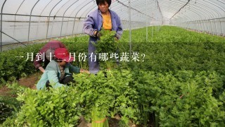 1月到十2月份有哪些蔬菜？