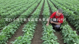 买台小货车批发蔬菜水果来卖赚钱吗？