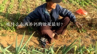 吃什么东西补钙的效果最好？