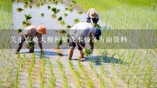 关于农业大棚种植成本极各方面资料