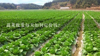 蔬菜批发每天如何定价钱？