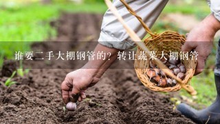 谁要2手大棚钢管的？转让蔬菜大棚钢管