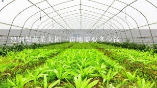 建钢架蔬菜大棚1亩地需要多少钱