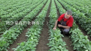 钙含量高的食物有（ ）