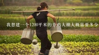 我想建1个1200平米的养鸡大棚大概需要多少本钱啊？知道的请告知。谢谢。