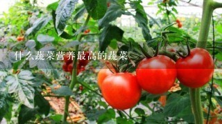 什么蔬菜营养最高的蔬菜