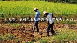 在夏季，农村里有哪些野菜可以吃呢？应该怎么吃？