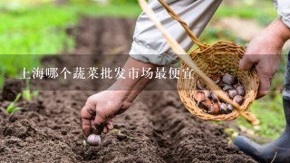 上海哪个蔬菜批发市场最便宜