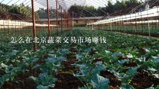 怎么在北京蔬菜交易市场赚钱