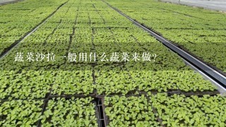 蔬菜沙拉1般用什么蔬菜来做？