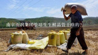 南京雨润集团管培生生鲜品管干啥的？