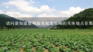 请问谁知道惠州蔬菜批发市场的具体地点在那里？