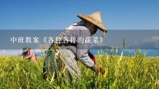 中班教案《各种各样的蔬菜》