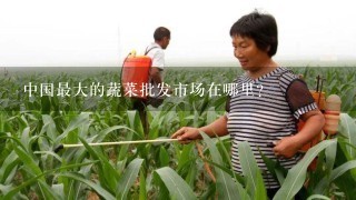 中国最大的蔬菜批发市场在哪里？