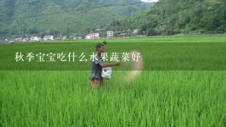 秋季宝宝吃什么水果蔬菜好