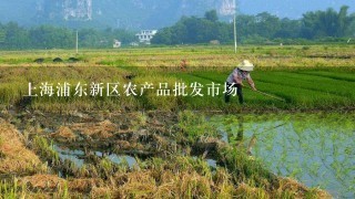 上海浦东新区农产品批发市场