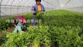 3年级上册英语单词表