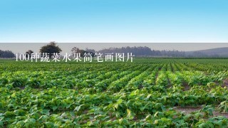 100种蔬菜水果简笔画图片