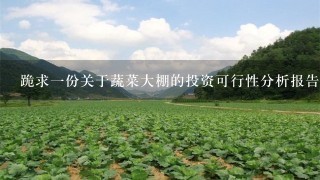 跪求1份关于蔬菜大棚的投资可行性分析报告