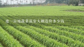 建1亩地蔬菜温室大棚造价多少钱