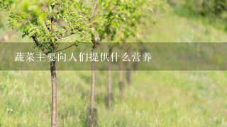 蔬菜主要向人们提供什么营养