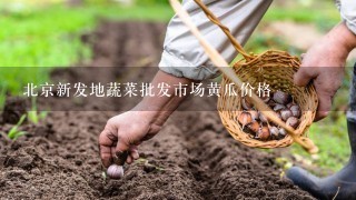 北京新发地蔬菜批发市场黄瓜价格