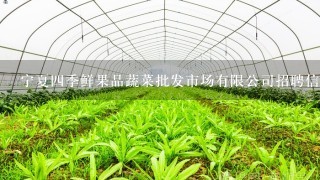 宁夏4季鲜果品蔬菜批发市场有限公司招聘信息,宁夏