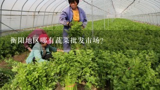 衡阳地区哪有蔬菜批发市场？