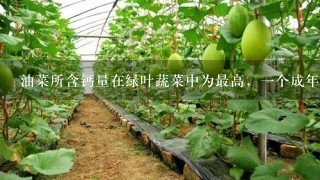 油菜所含钙量在绿叶蔬菜中为最高，1个成年人1天吃500克油菜，其所含钙、铁。()维生素A和C即可满足生理需求。()