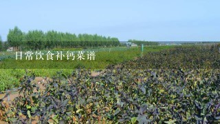 日常饮食补钙菜谱