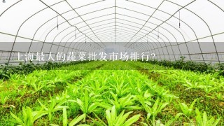 上海最大的蔬菜批发市场排行？