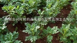 注册公司时候的蔬菜超市经营范围怎么写？