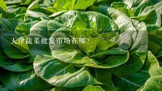 天津蔬菜批发市场在哪？
