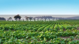 上海哪里有批发蔬菜的电商网站？