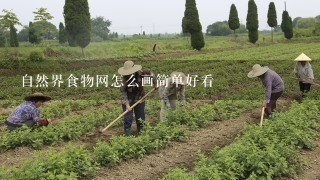 自然界食物网怎么画简单好看