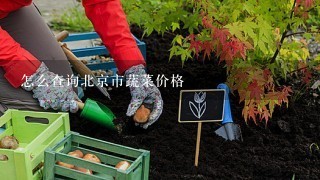 怎么查询北京市蔬菜价格