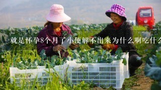 就是怀孕8个月了小便解不出来为什么啊吃什么药好