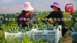 求食堂1周菜谱，3菜1个汤,接近30吃饭，早餐每人3元、中餐晚餐8元标准