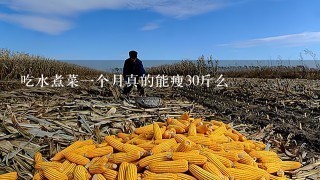 吃水煮菜1个月真的能瘦30斤么