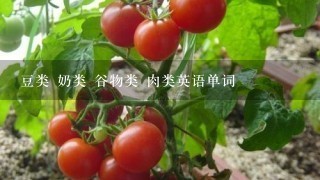 豆类 奶类 谷物类 肉类英语单词