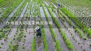 台州最大的蔬菜批发市场