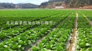 北京蔬菜批发市场在哪里？