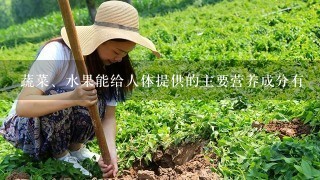 蔬菜、水果能给人体提供的主要营养成分有