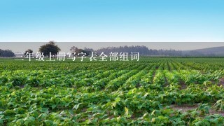 3年级上册写字表全部组词