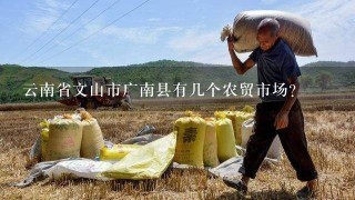 云南省文山市广南县有几个农贸市场？