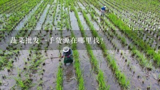 蔬菜批发1手货源在哪里找？