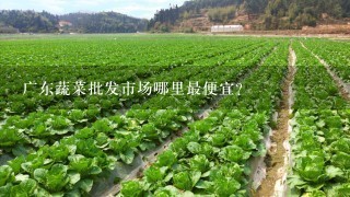 广东蔬菜批发市场哪里最便宜？